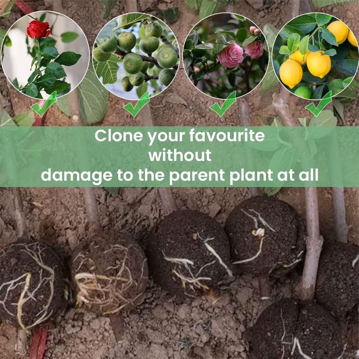 Rooting Balls Pack of 5 with Pot Mix Combo