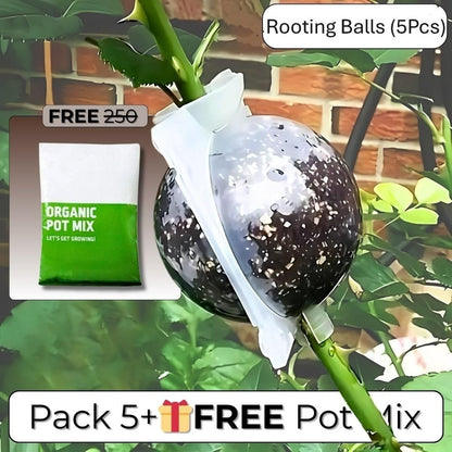 Rooting Balls Pack of 5 with Pot Mix Combo