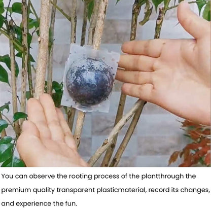 Rooting Balls Pack of 5 with Pot Mix Combo